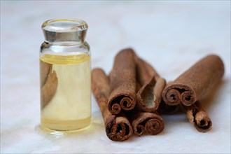 Cinnamon oil in bottle next to cinnamon bark