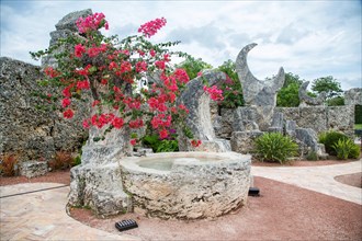 Garden with limestones