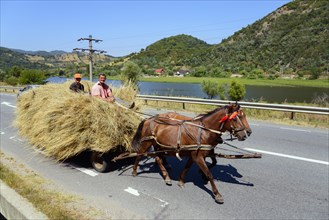 Horse and cart loaded with hay