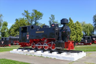 Steam locomotive Principesa Elena