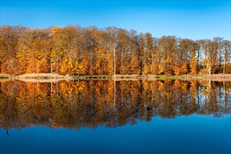 Autumn at Lake Schweingartensee