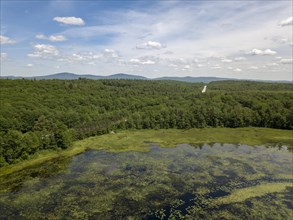 Aerial view of Mud Pond