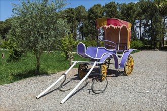 Carriage in Dolat Abad Garden