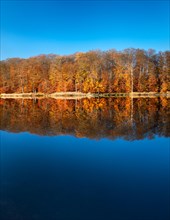 Autumn at Lake Schweingartensee