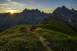 Mountain path with flower meadow at sunrise in mountain landscape