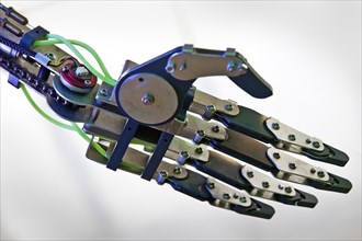 The hand of the humanoid robot RoboThespian
