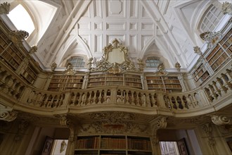 Gallery in the library with historical books