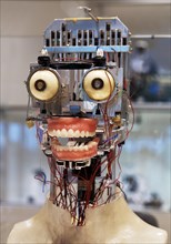 Face robot