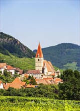 Parish church in front of vineyards