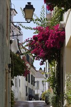 Small alley with flowering red bougainvillea
