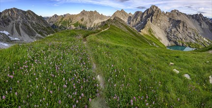 Mountain path with flower meadow in mountain landscape