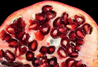 Cut open Pomegranate