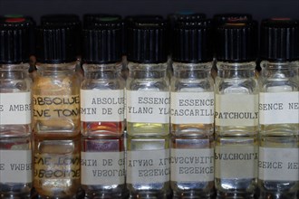 Small bottles with different essences for perfume production