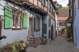 Historic houses in Gasse