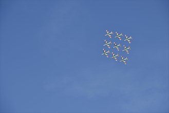 Italian Aerobatic Squadron