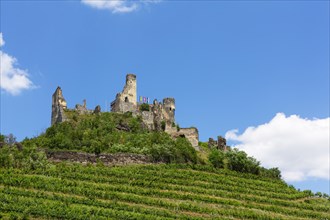 Wine-growing region