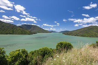 View from Cullen Point Lookout to Mahua Sound