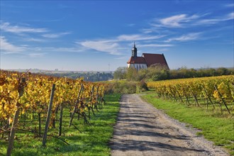 Pilgrimage Church of Maria im Weingarten