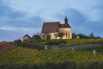 Pilgrimage Church of Maria im Weingarten