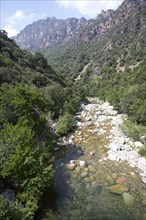 Mountain stream in the Spelunca Gorge