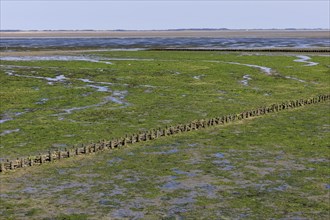 Wadden Sea at low tide on Amrum Island