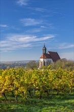 Pilgrimage Church of Maria im Weingarten