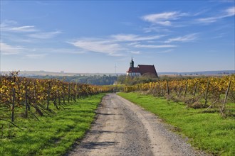 Pilgrimage Church of Maria im Weingarten