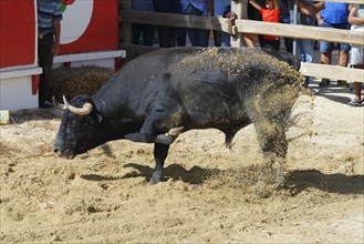 Street corrida during the Festas do Barrete Verde e das Salinas