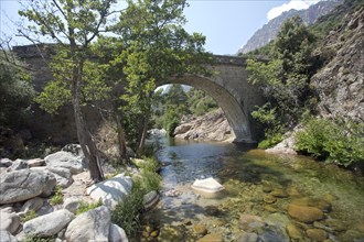 Old Genoese bridge in the Spelunca Gorge