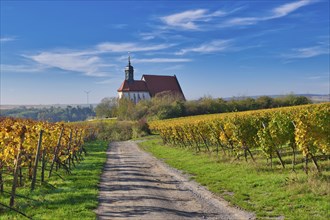 Pilgrimage Church of Maria im Weingarten