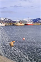 Fishing net with mussel