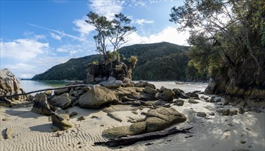 Overgrown rock on the beach of Stillwell Bay