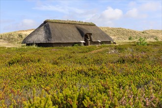Iron Age House Museum on Amrum Island