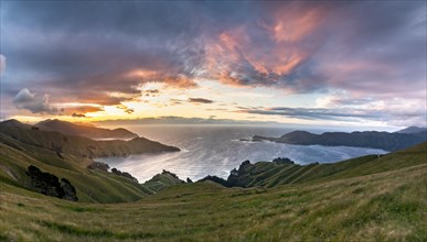 View of meadows and rocky coast at sunset