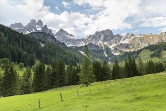 Alpine meadow in front of the summits of the Bischofsmuetze