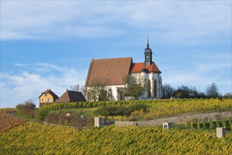 Pilgrimage Church of Maria im Weingarten