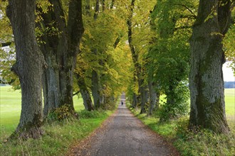 Kurfuerstenallee