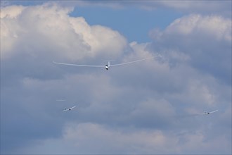 Gliders fly in the sky