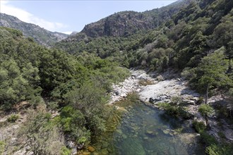 Mountain stream in the Spelunca Gorge