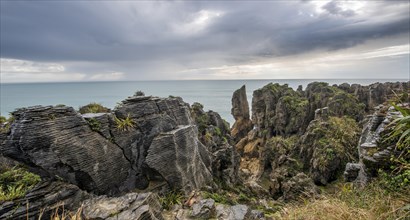 Coastal landscape of sandstone rocks