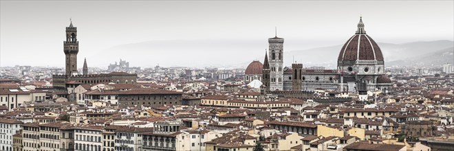 View of Florence with Palazzo Vecchio and Santa Maria del Fiore
