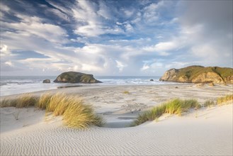 Rock island on Wharariki beach