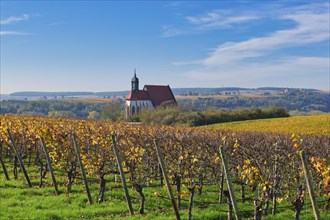 Pilgrimage Church of Maria im Weingarten