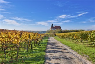 Pilgrimage Church of Maria im Weingarten