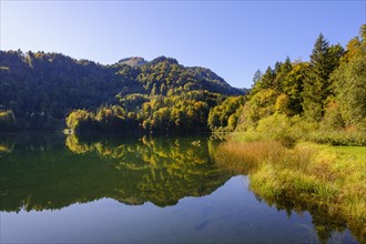 Lake Freiberg