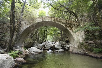 Genoese bridge Pont de Zaglia in the Spelunca Gorge