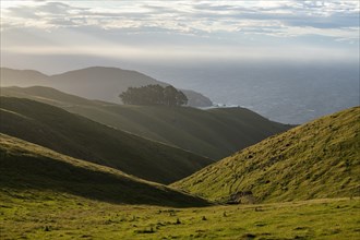 View of hilly landscape near French Pass