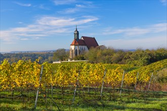 Pilgrimage Church of Maria im Weingarten