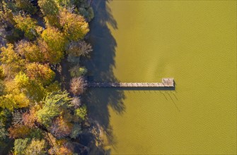 Autumn atmosphere at Lake Starnberg near St. Heinrich