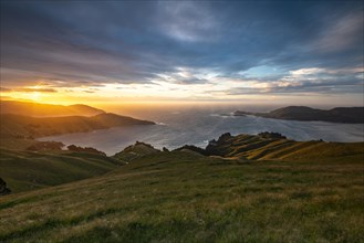 View of meadows and rocky coast at sunset